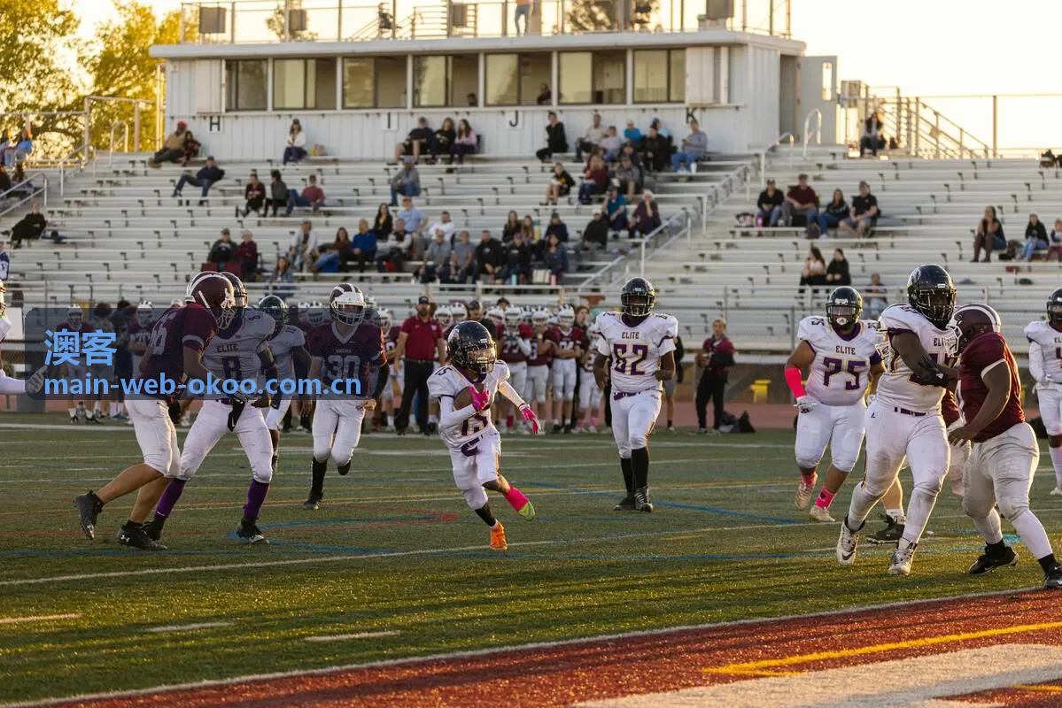 澳客品牌洞察服务